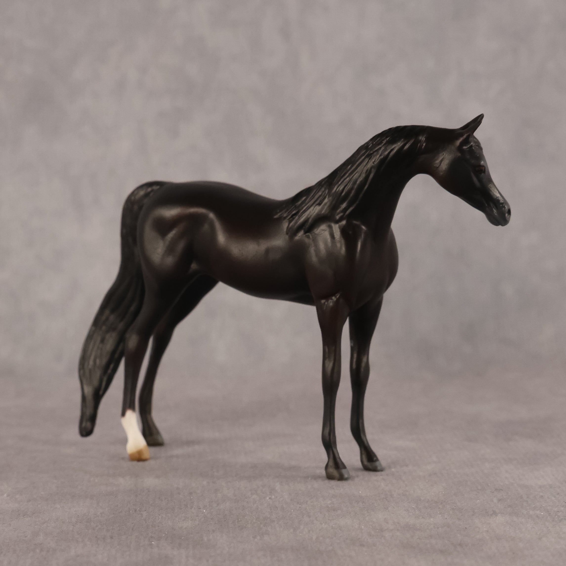 Esra OOAK EFCM Chip Arabian by Kristen Cermele GS26