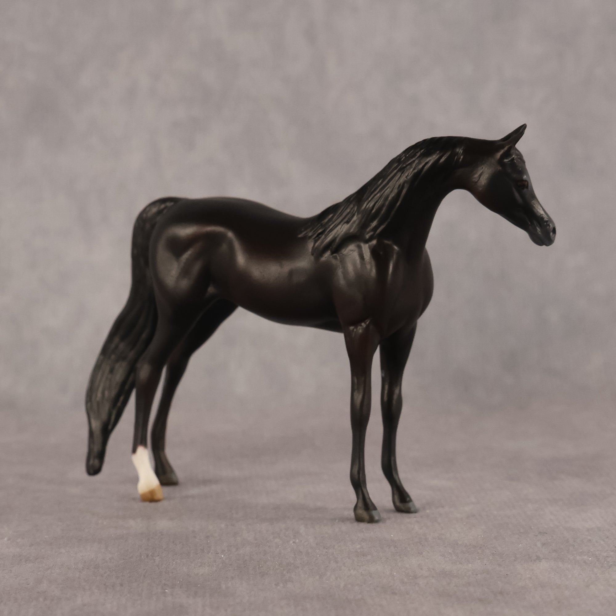 Esra OOAK EFCM Chip Arabian by Kristen Cermele GS26