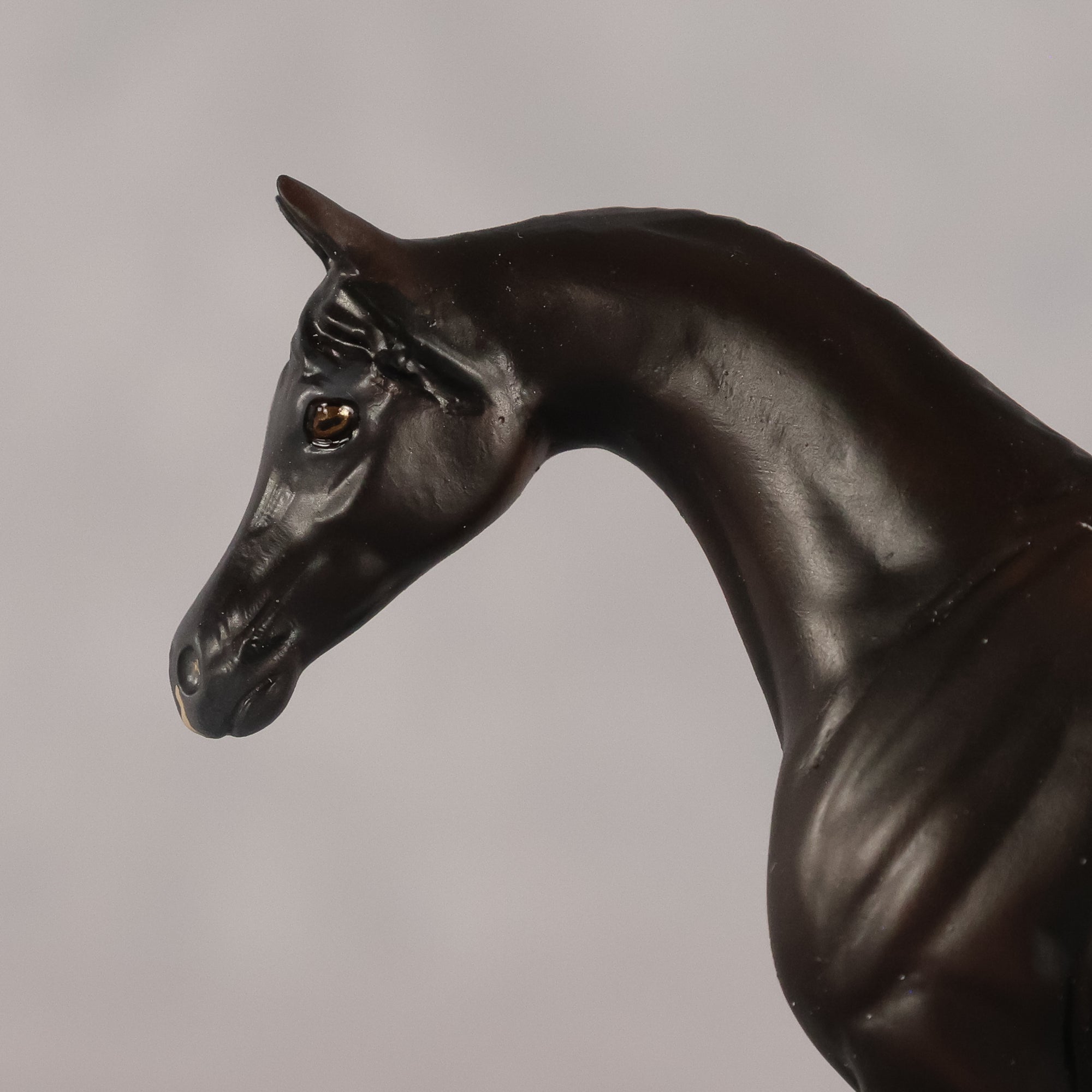 Esra OOAK EFCM Chip Arabian by Kristen Cermele GS26