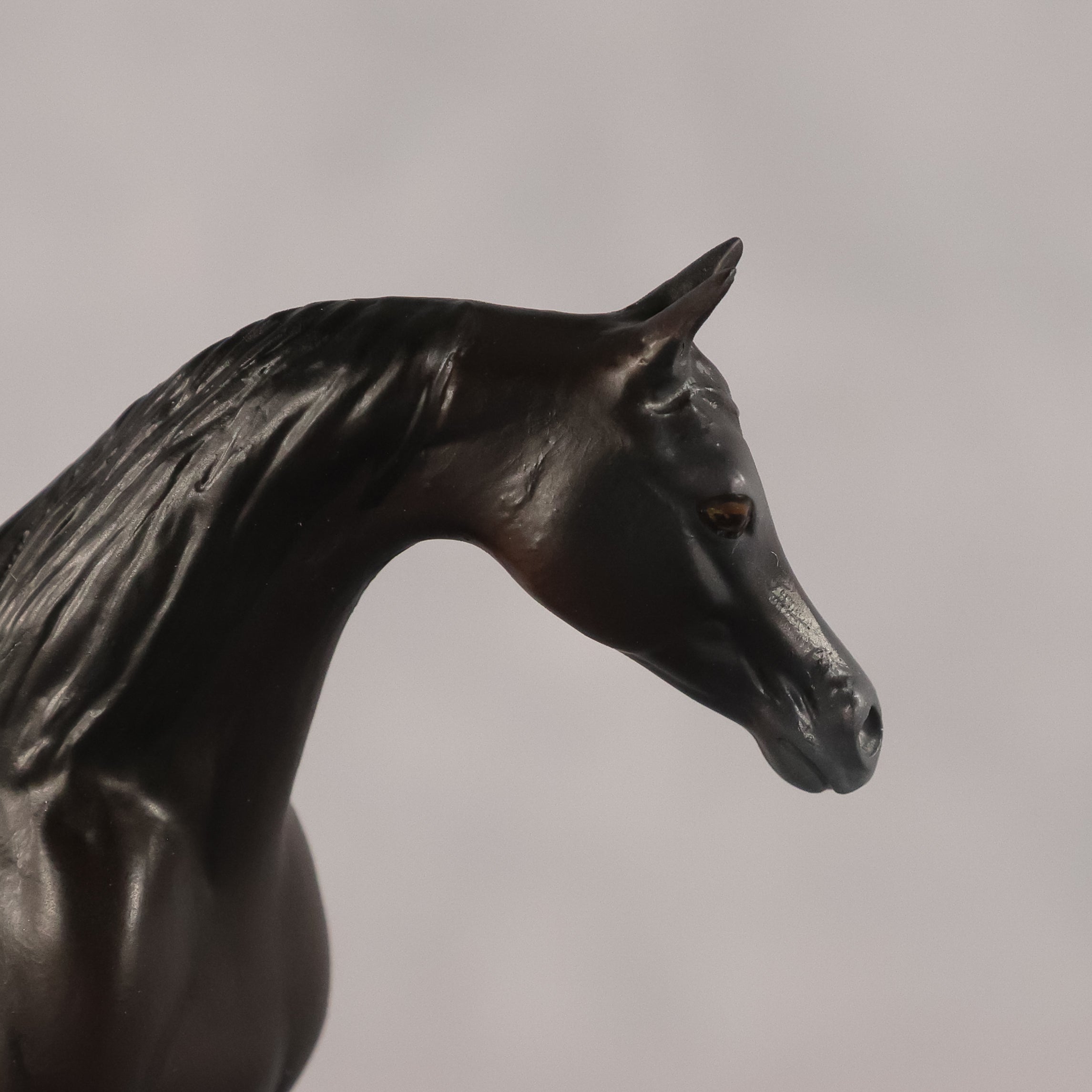 Esra OOAK EFCM Chip Arabian by Kristen Cermele GS26