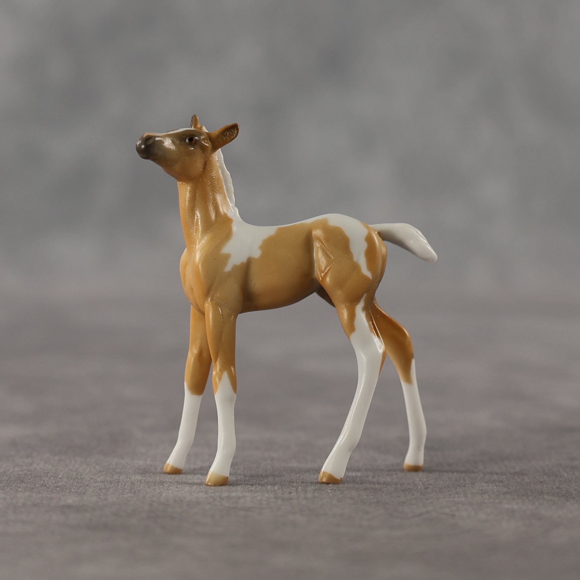 Estrella LE-5 Chip Foal by Anna Rieck April $99 Chips