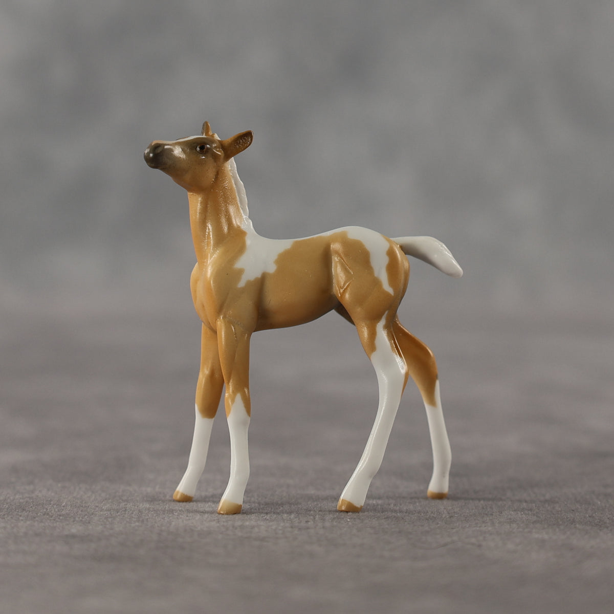 Estrella LE-5 Chip Foal by Anna Rieck April $99 Chips