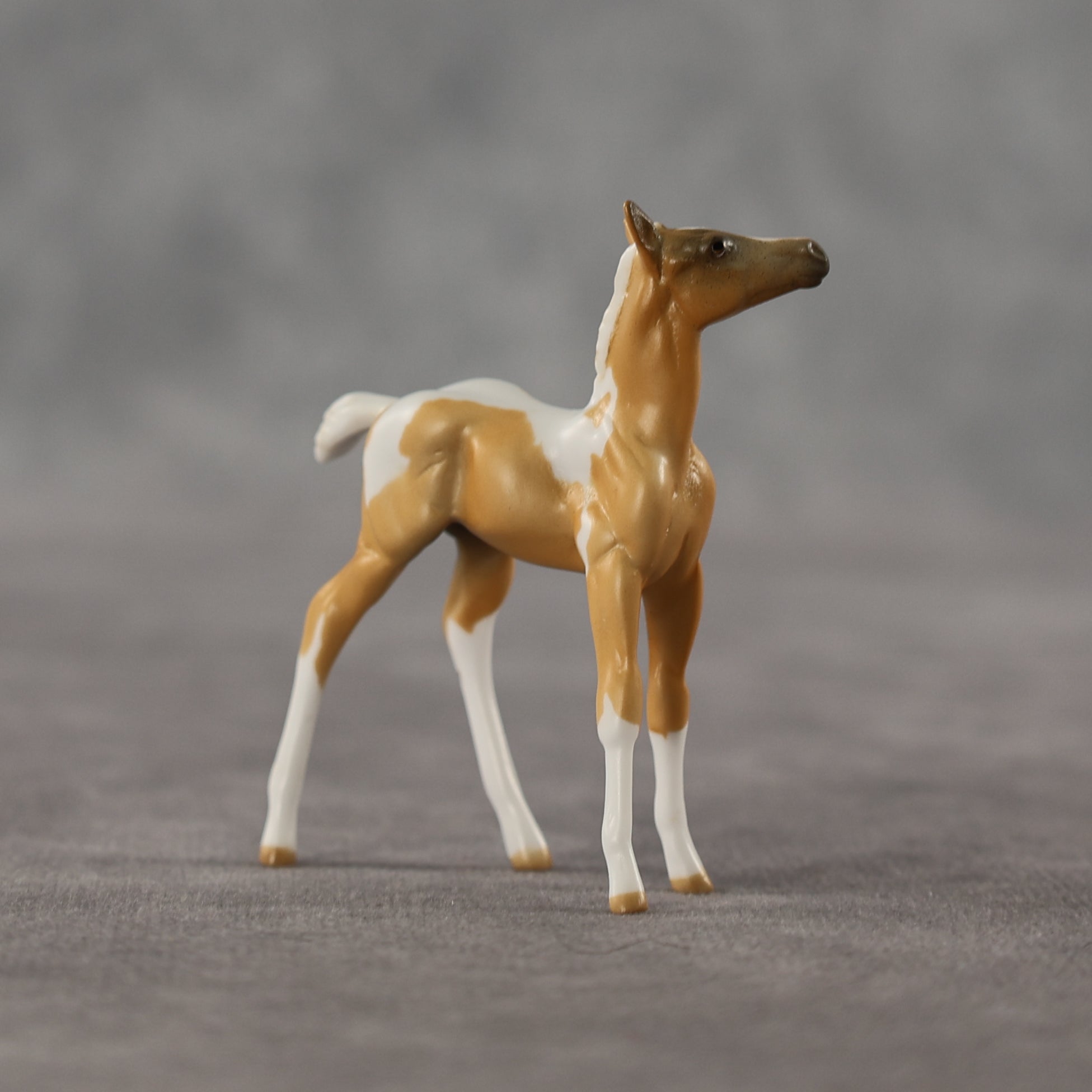 Estrella LE-5 Chip Foal by Anna Rieck April $99 Chips