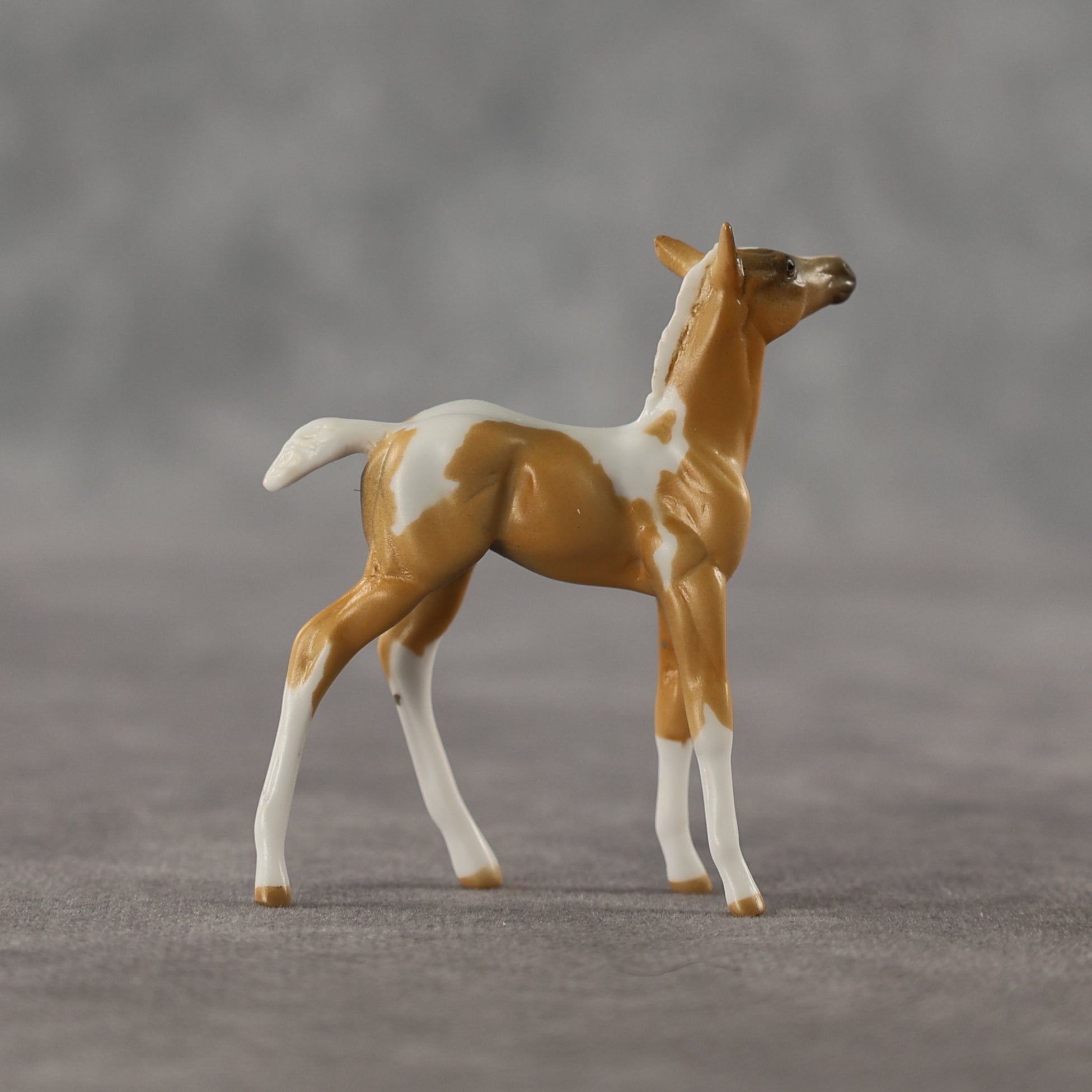 Estrella LE-5 Chip Foal by Anna Rieck April $99 Chips