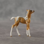Estrella LE-5 Chip Foal by Anna Rieck April $99 Chips