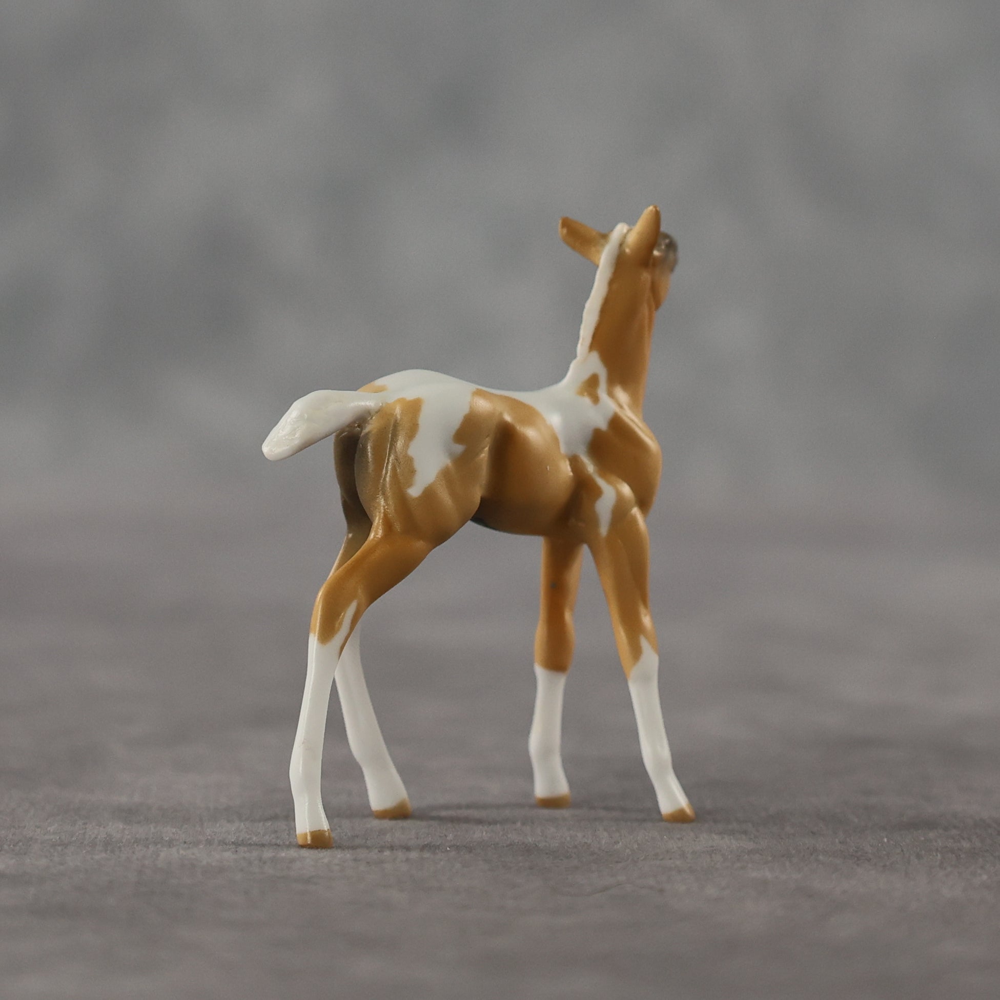 Estrella LE-5 Chip Foal by Anna Rieck April $99 Chips