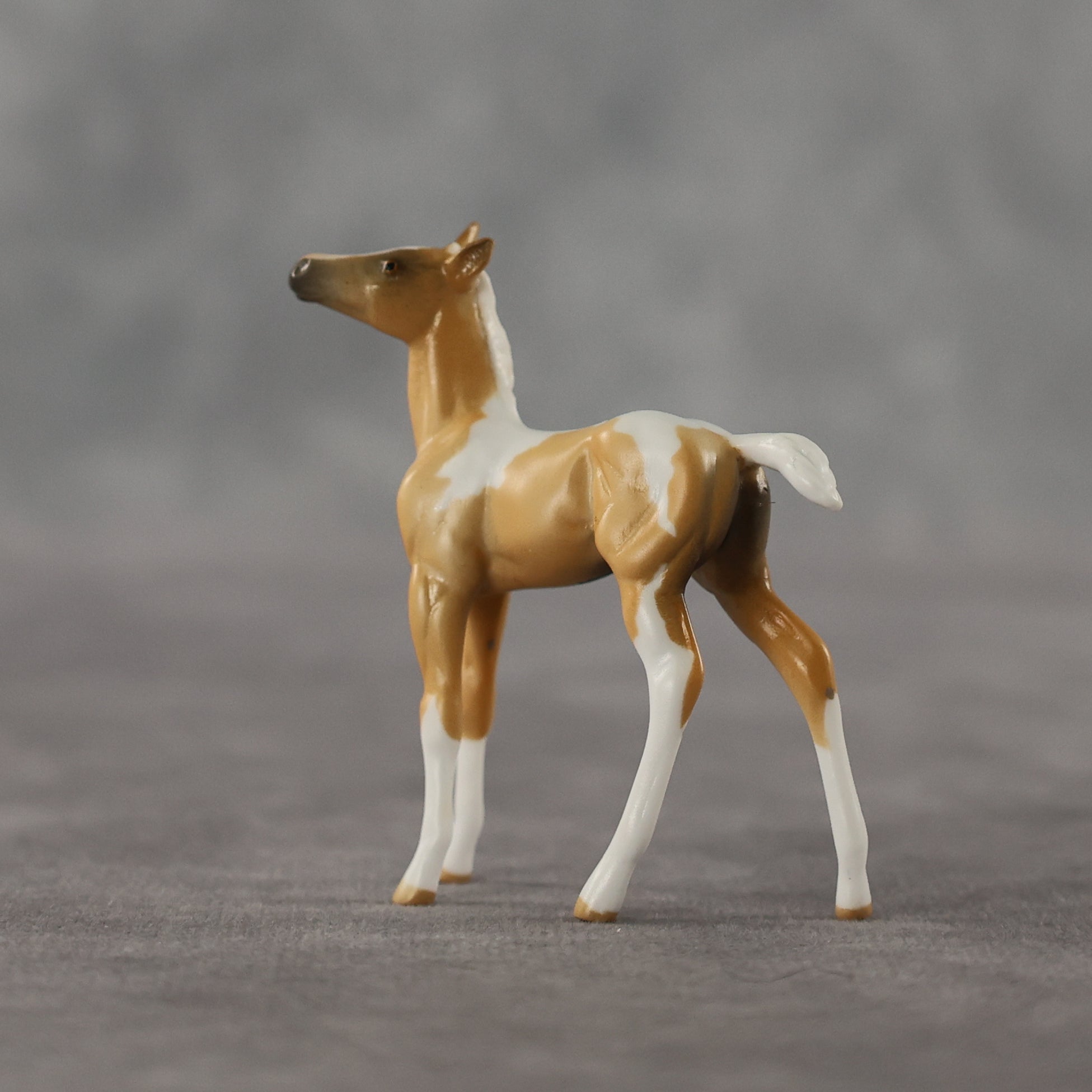 Estrella LE-5 Chip Foal by Anna Rieck April $99 Chips