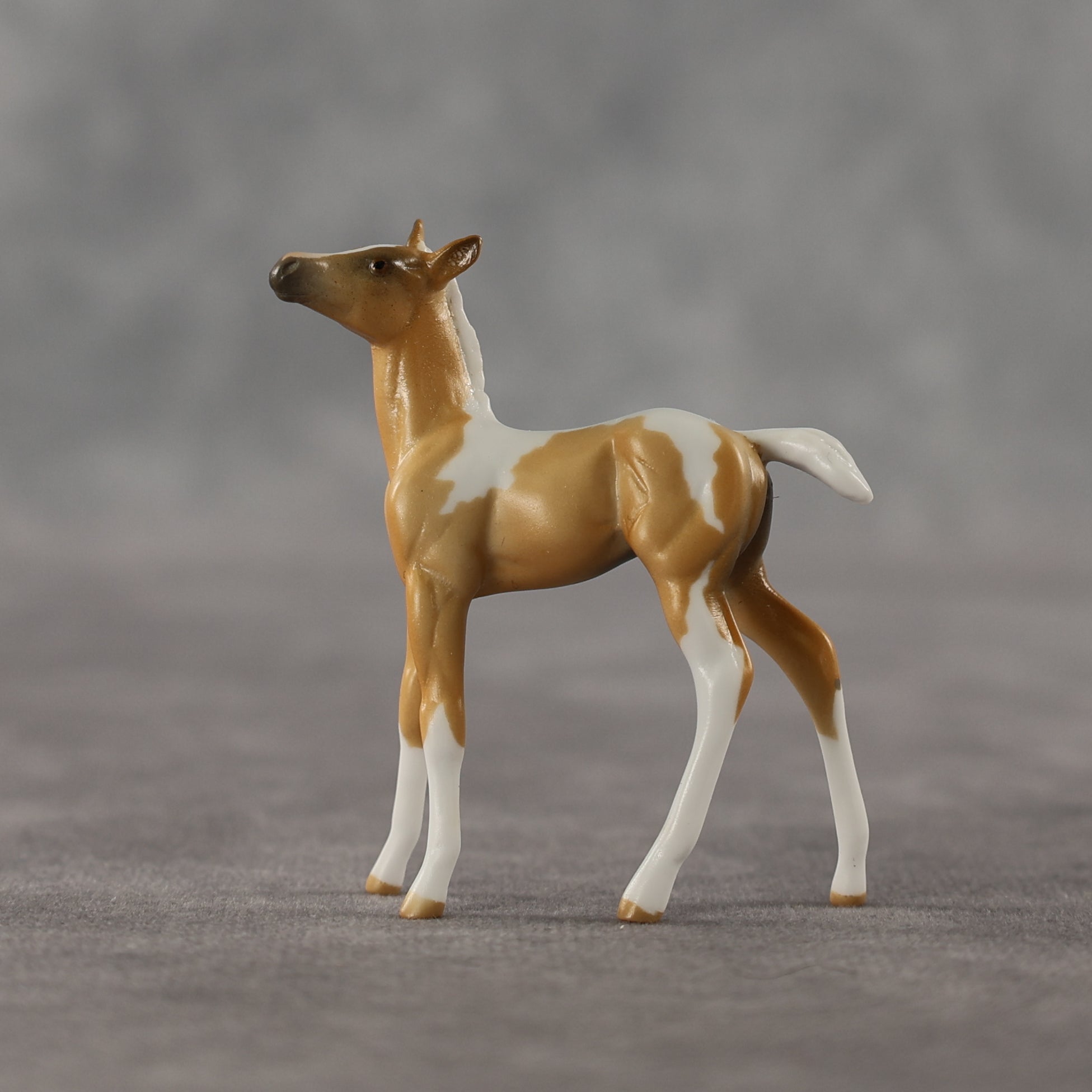 Estrella LE-5 Chip Foal by Anna Rieck April $99 Chips