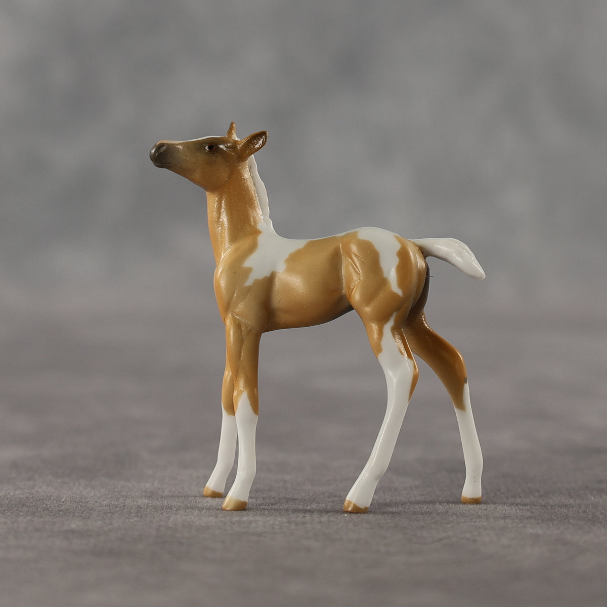 Estrella LE-5 Chip Foal by Anna Rieck April $99 Chips