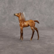 Evelyn OOAK FCM Chip Foal by Angela Marleau FTF26