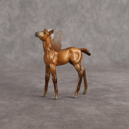 Evelyn OOAK FCM Chip Foal by Angela Marleau FTF26