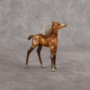 Evelyn OOAK FCM Chip Foal by Angela Marleau FTF26