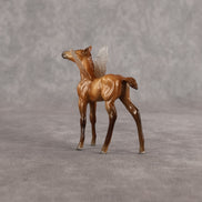 Evelyn OOAK FCM Chip Foal by Angela Marleau FTF26