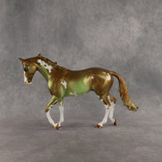 Expended Currency OOAK Thoroughbred by Alex Fortman SHCF26