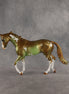 Expended Currency OOAK Thoroughbred by Alex Fortman SHCF26