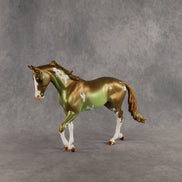 Expended Currency OOAK Thoroughbred by Alex Fortman SHCF26