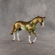 Expended Currency OOAK Thoroughbred by Alex Fortman SHCF26
