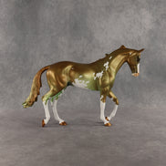 Expended Currency OOAK Thoroughbred by Alex Fortman SHCF26
