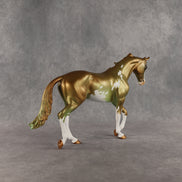 Expended Currency OOAK Thoroughbred by Alex Fortman SHCF26