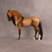 Fabio OOAK FCM Andalusian by Madi Wiseman EQ26