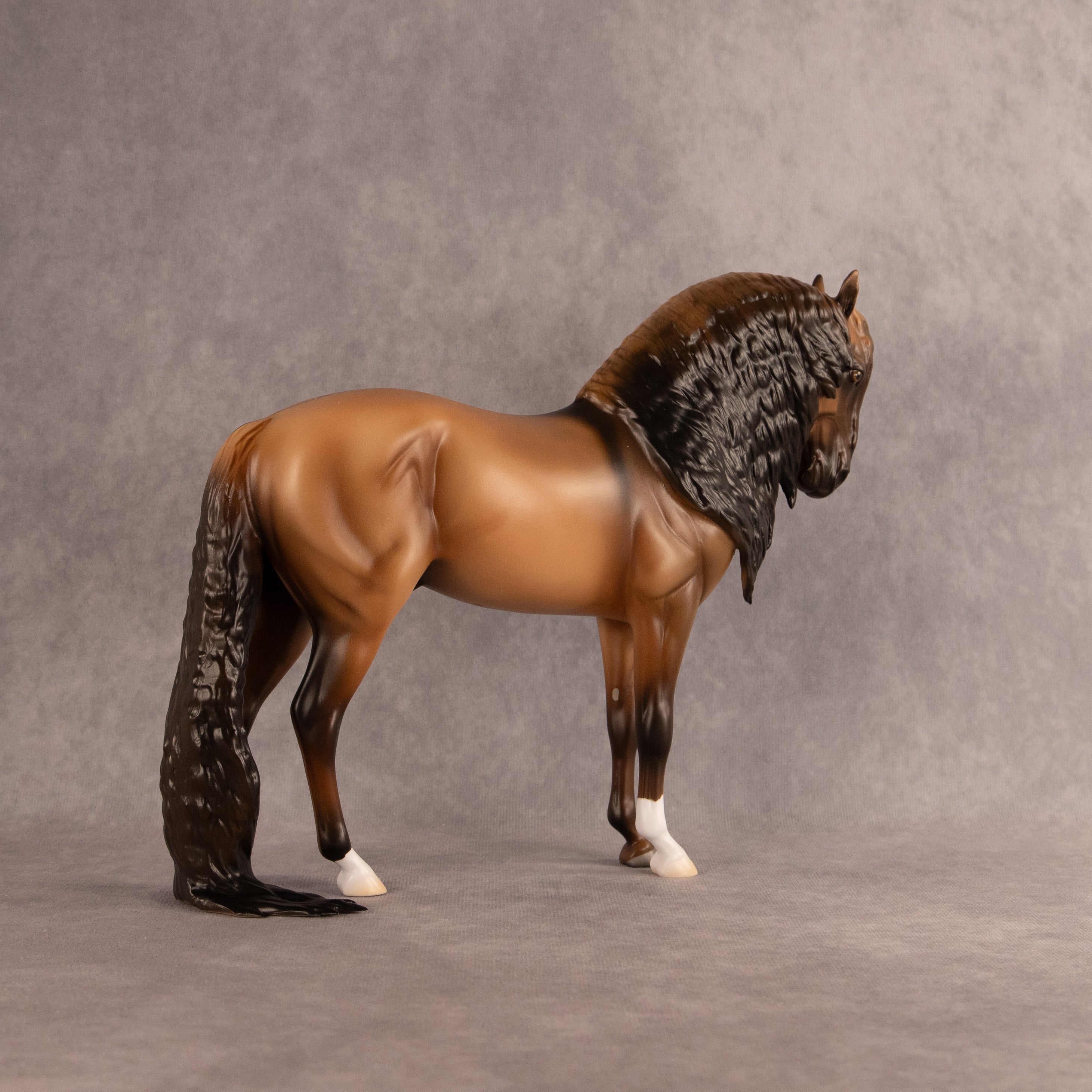 Fabio OOAK FCM Andalusian by Madi Wiseman EQ26