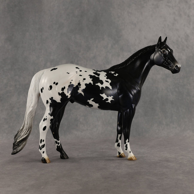 Face Card Declined OOAK Ideal Stock Horse by Jess Hamill SHCF26