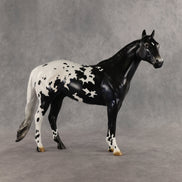 Face Card Declined OOAK Ideal Stock Horse by Jess Hamill SHCF26