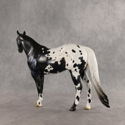 Face Card Declined OOAK Ideal Stock Horse by Jess Hamill SHCF26