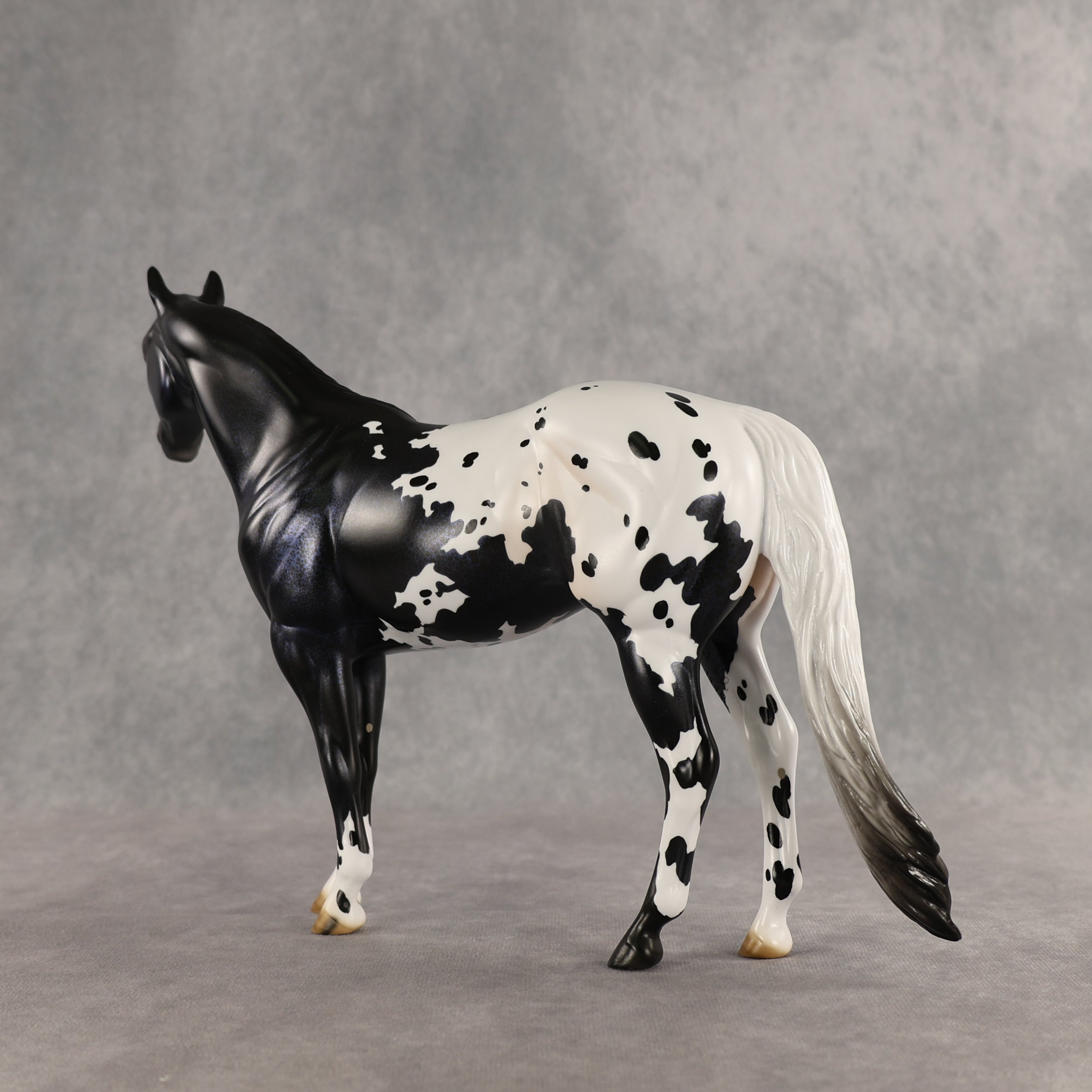 Face Card Declined OOAK Ideal Stock Horse by Jess Hamill SHCF26