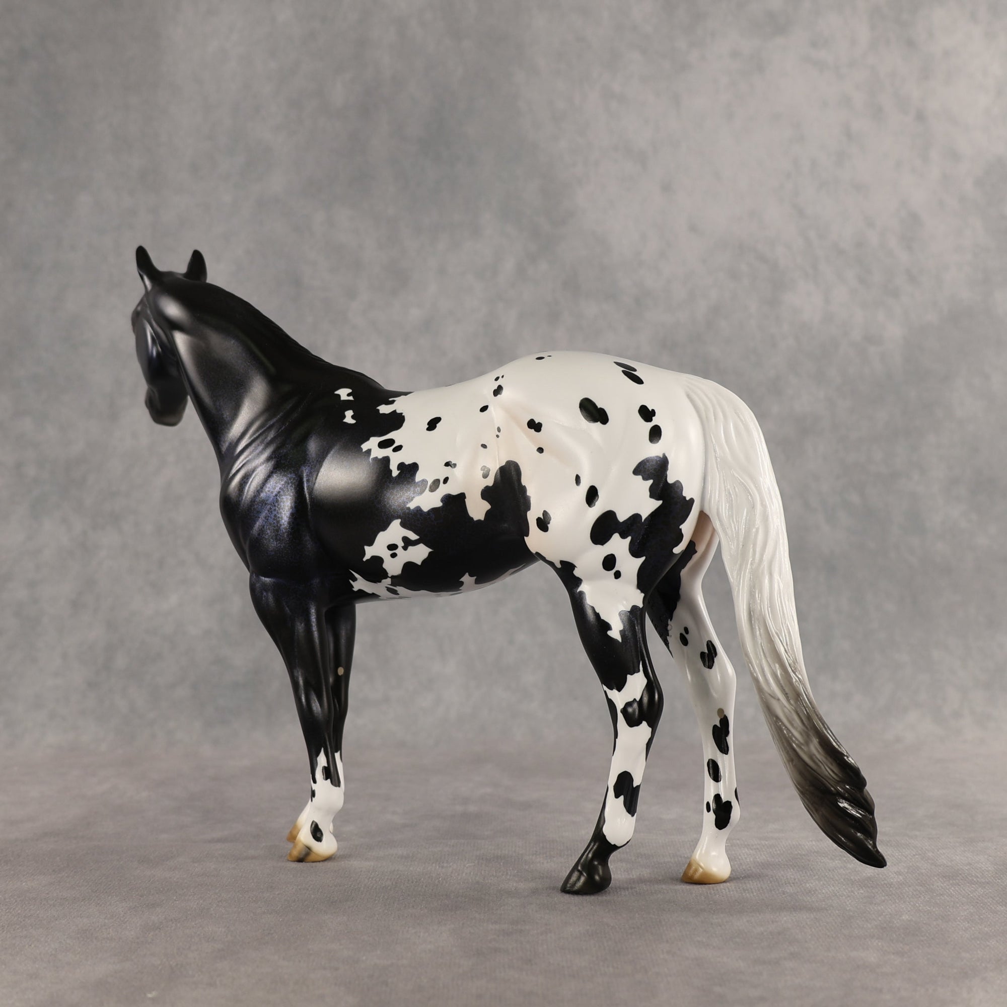 Face Card Declined OOAK Ideal Stock Horse by Jess Hamill SHCF26