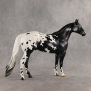 Face Card Declined OOAK Ideal Stock Horse by Jess Hamill SHCF26