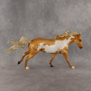 Falcon OOAK FCM Remington by Madi Wiseman DDOOAKs26