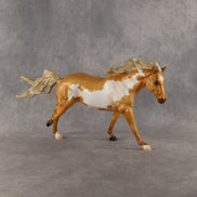 Falcon OOAK FCM Remington by Madi Wiseman DDOOAKs26