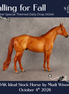 Falling for Fall OOAK Ideal Stock Horse by Madi Wiseman DDOOAKs26