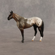 Fancy & Show Stopper OOAK Chip FCM Stock Horse & Chip Foal by Anna Rieck SCD26