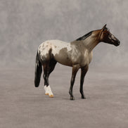 Fancy & Show Stopper OOAK Chip FCM Stock Horse & Chip Foal by Anna Rieck SCD26