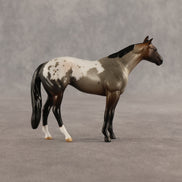 Fancy & Show Stopper OOAK Chip FCM Stock Horse & Chip Foal by Anna Rieck SCD26