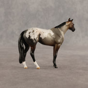 Fancy & Show Stopper OOAK Chip FCM Stock Horse & Chip Foal by Anna Rieck SCD26