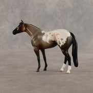 Fancy & Show Stopper OOAK Chip FCM Stock Horse & Chip Foal by Anna Rieck SCD26