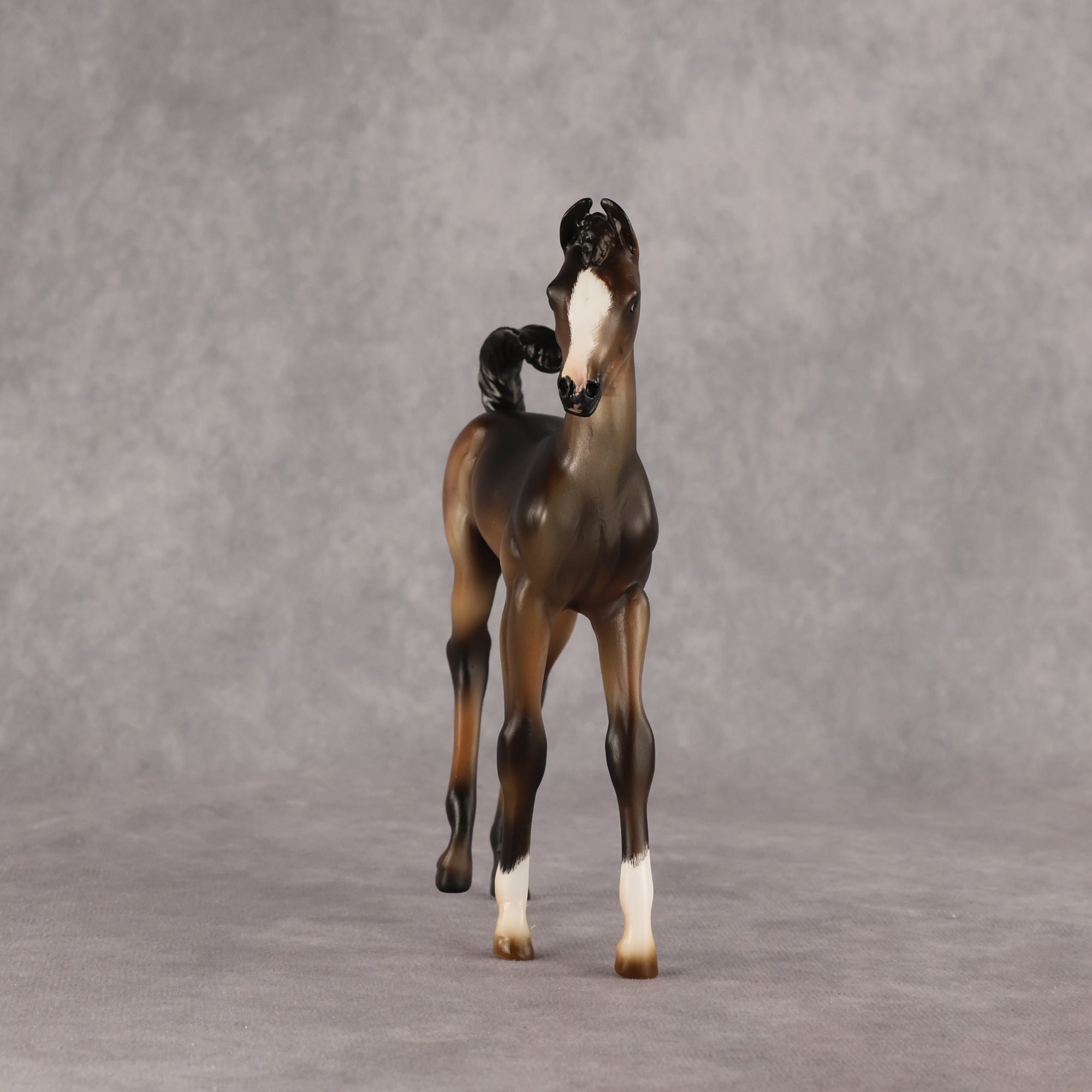 Fancy Felix OOAK EFCM Arabian Foal by Carly Kudalis Best Offer 6.9.2026