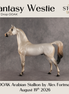 Fantasy Westie OOAK Arabian Stallion by Alex Fortman DDOOAKs26