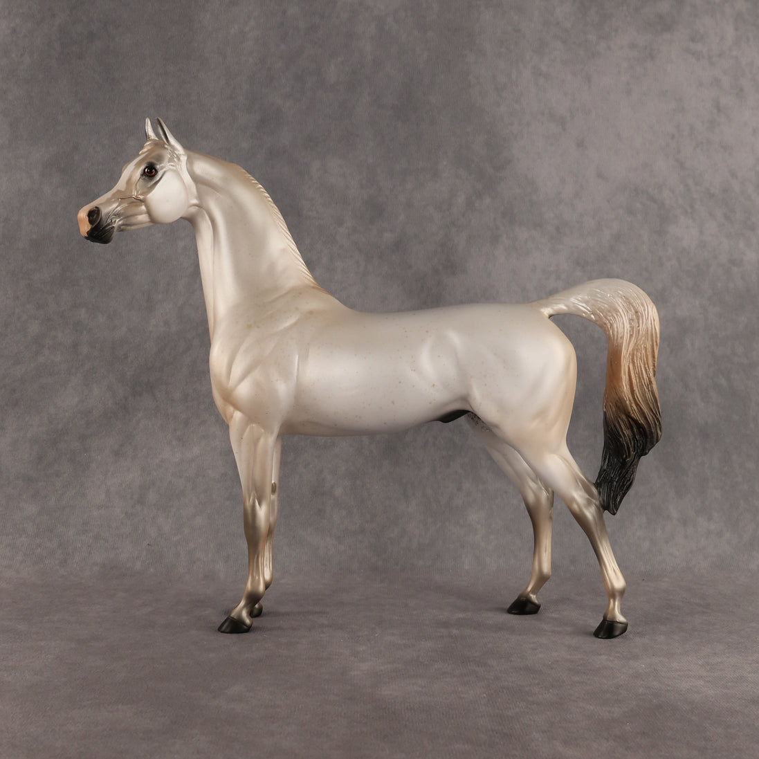 Fantasy Westie OOAK Arabian Stallion by Alex Fortman DDOOAKs26