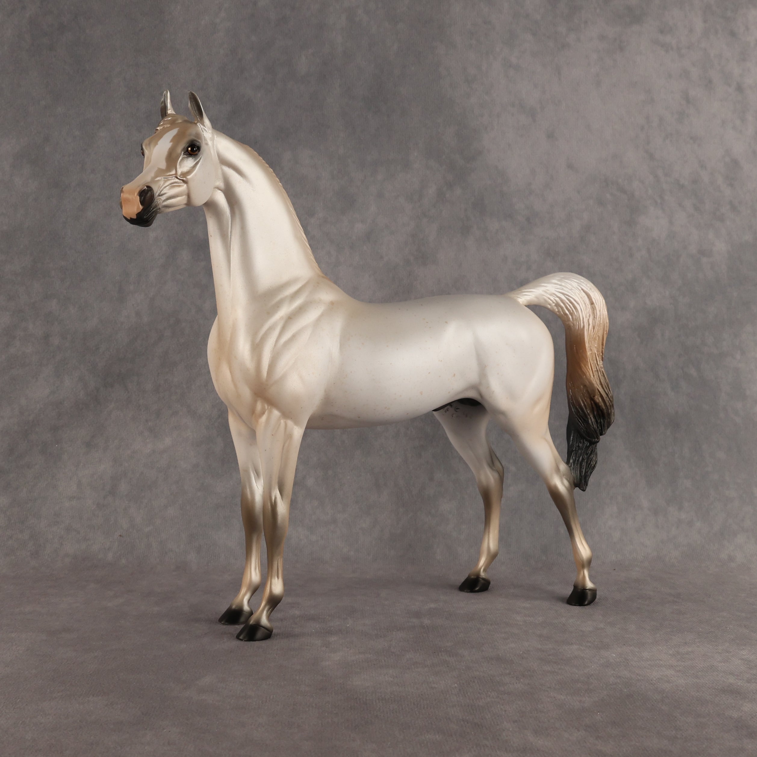 Fantasy Westie OOAK Arabian Stallion by Alex Fortman DDOOAKs26