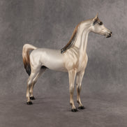 Fantasy Westie OOAK Arabian Stallion by Alex Fortman DDOOAKs26