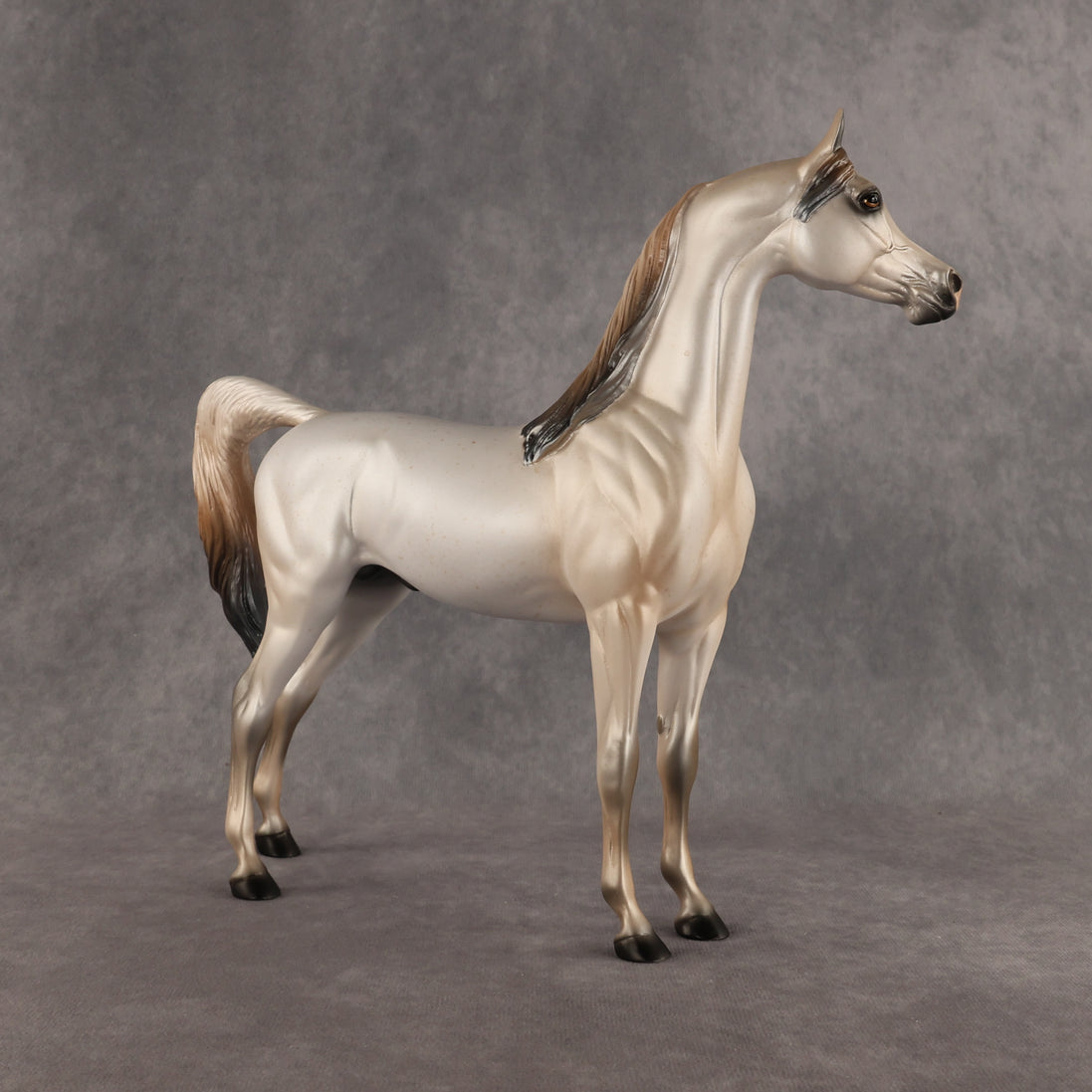 Fantasy Westie OOAK Arabian Stallion by Alex Fortman DDOOAKs26