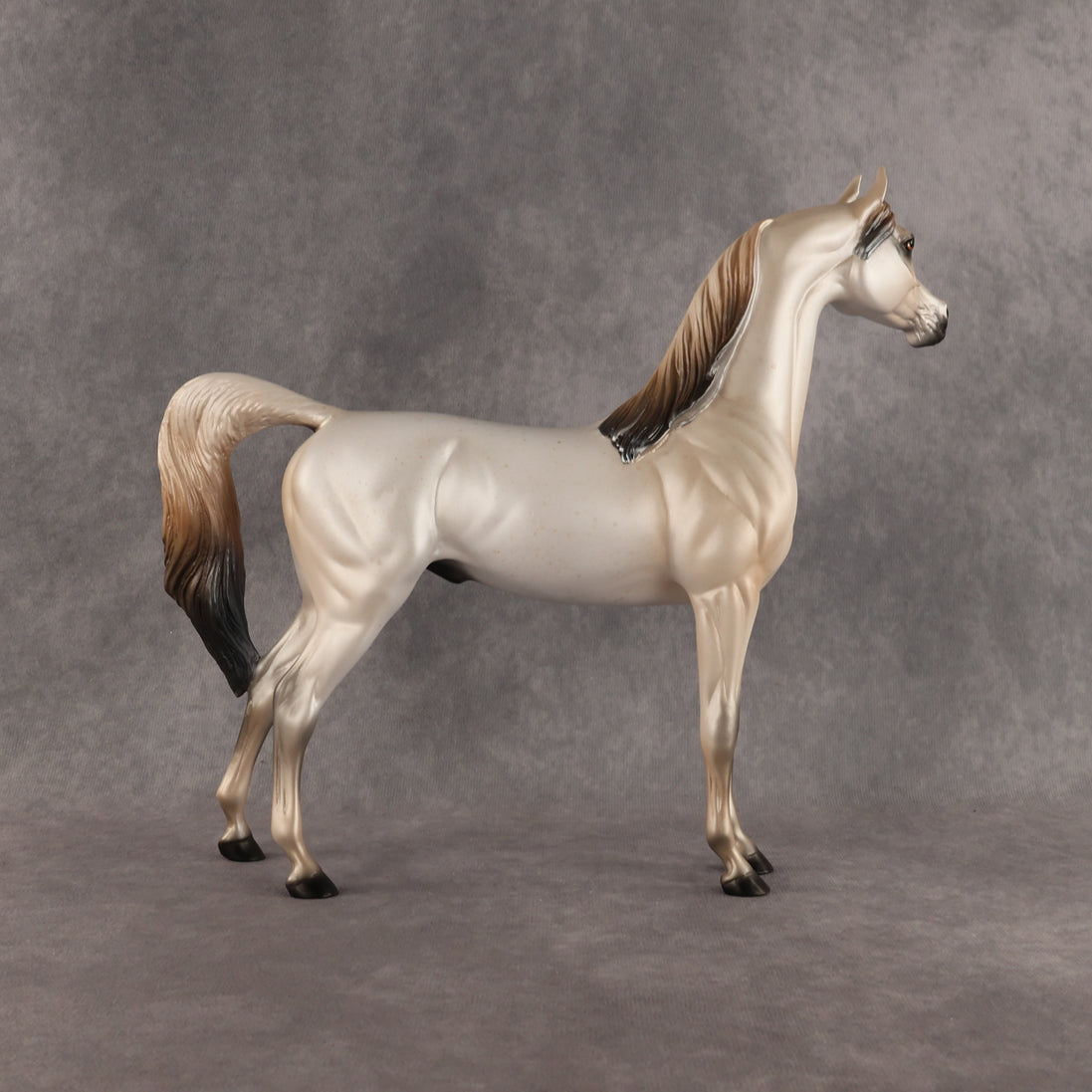 Fantasy Westie OOAK Arabian Stallion by Alex Fortman DDOOAKs26