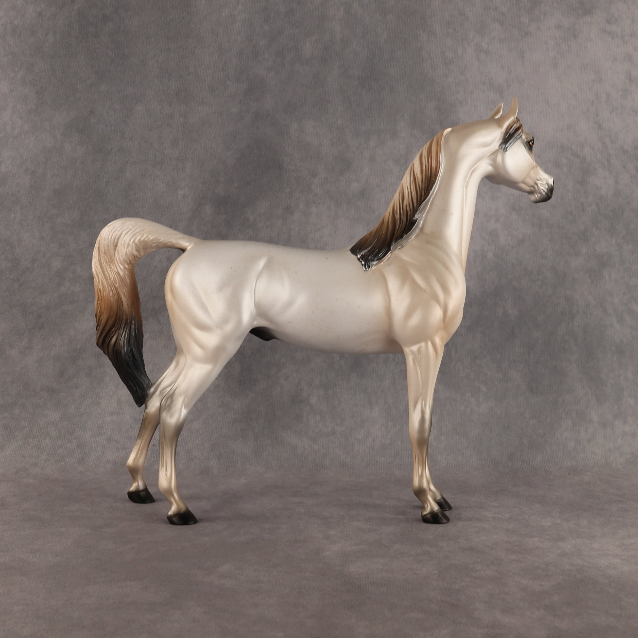 Fantasy Westie OOAK Arabian Stallion by Alex Fortman DDOOAKs26