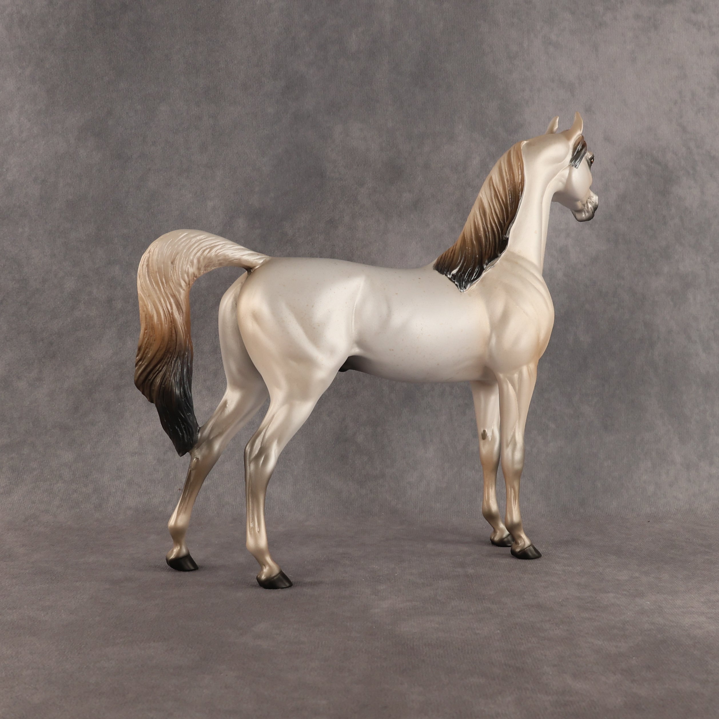 Fantasy Westie OOAK Arabian Stallion by Alex Fortman DDOOAKs26