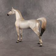 Fantasy Westie OOAK Arabian Stallion by Alex Fortman DDOOAKs26