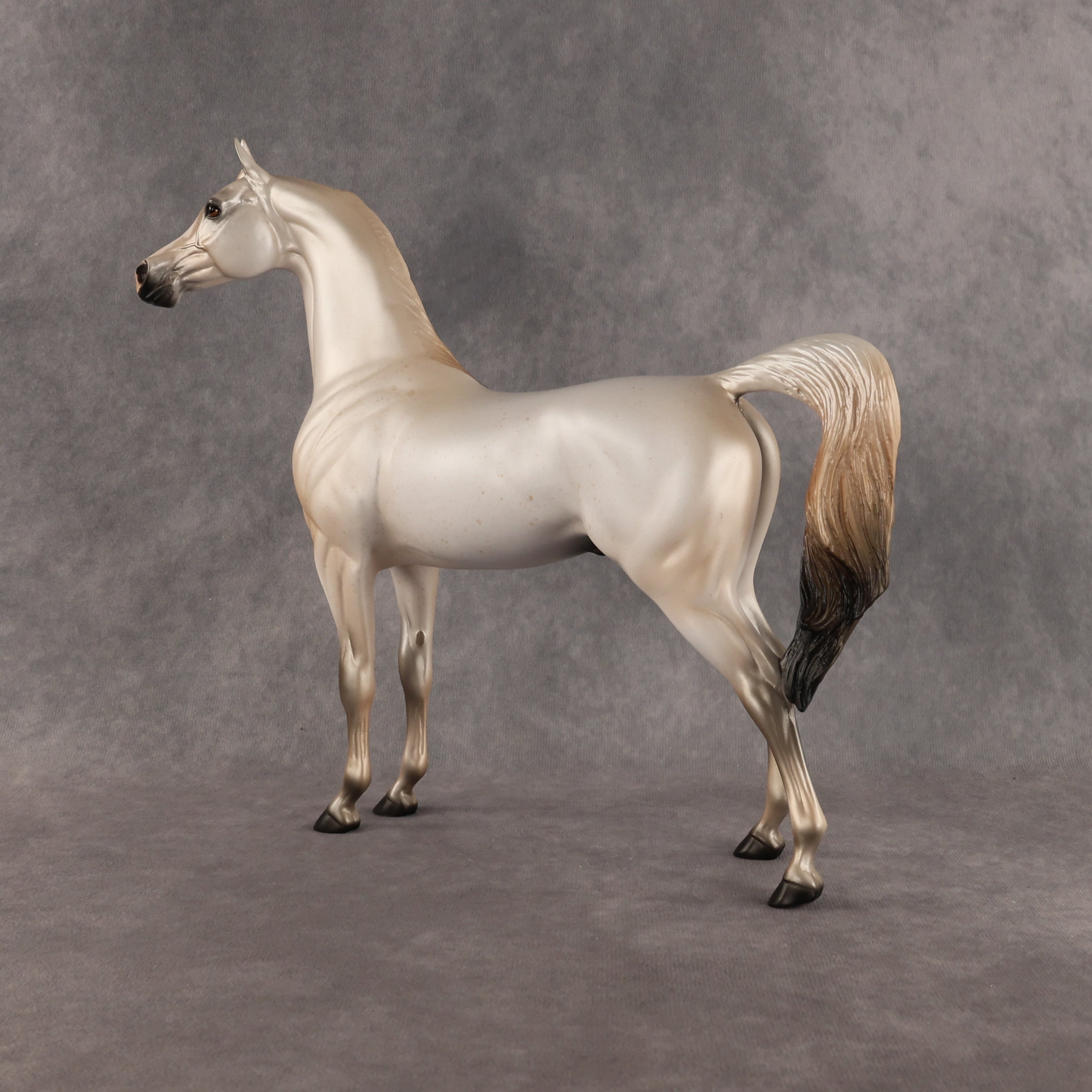 Fantasy Westie OOAK Arabian Stallion by Alex Fortman DDOOAKs26